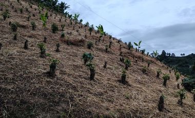 finca en venta en santuario- la marina-32hq+994 santuario, risaralda. Cod V9763727