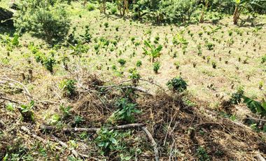 finca en venta en santuario- la marina-32hq+994 santuario, risaralda. Cod V9763727