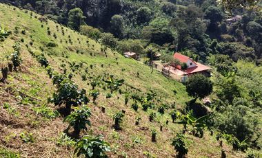 finca en venta en santuario- la marina-32hq+994 santuario, risaralda. Cod V9763727