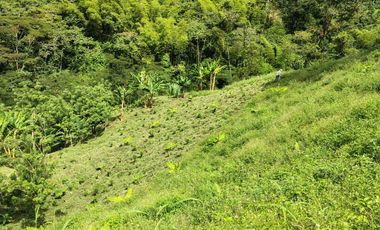 finca en venta en santuario- la marina-32hq+994 santuario, risaralda. Cod V9763727