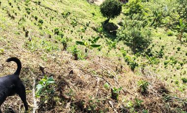finca en venta en santuario- la marina-32hq+994 santuario, risaralda. Cod V9763727