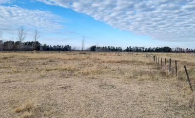 TERRENO  2.625M2 EN NUEVO ALBERDI FRENTE AL CLUB UNIVERSITARIO DE ROSARIO