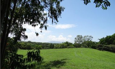 Se vende Finca en Las Lagartijas, San Carlos