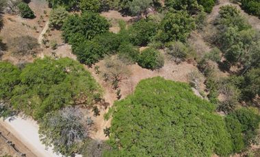Se vende Finca en Las Lagartijas, San Carlos