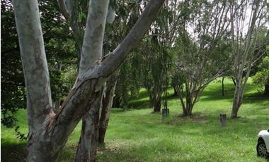 Se vende Finca en Las Lagartijas, San Carlos