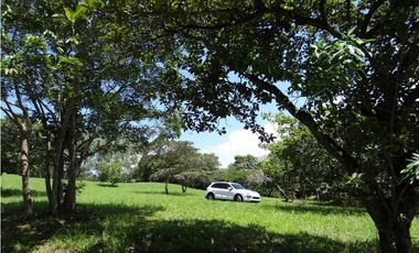 Se vende Finca en Las Lagartijas, San Carlos