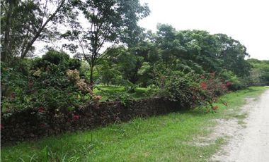 Se vende Finca en Las Lagartijas, San Carlos