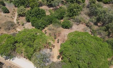 Se vende Finca en Las Lagartijas, San Carlos