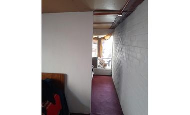 ILLAPEL / PARCELA 20.000 M2 ARBOLES EN PRODUCCION + ANIMALES