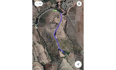 ILLAPEL / PARCELA 20.000 M2 ARBOLES EN PRODUCCION + ANIMALES