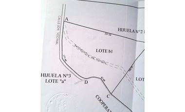 ILLAPEL / PARCELA 20.000 M2 ARBOLES EN PRODUCCION + ANIMALES