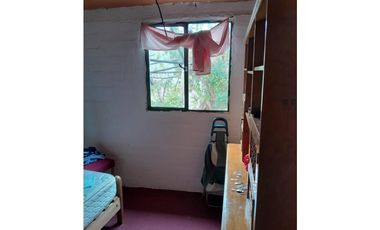 ILLAPEL / PARCELA 20.000 M2 ARBOLES EN PRODUCCION + ANIMALES