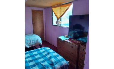 ILLAPEL / PARCELA 20.000 M2 ARBOLES EN PRODUCCION + ANIMALES