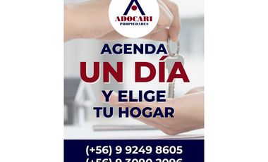 ILLAPEL / PARCELA 20.000 M2 ARBOLES EN PRODUCCION + ANIMALES