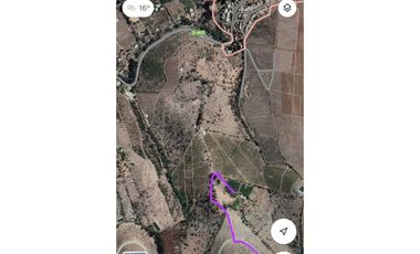 ILLAPEL / PARCELA 20.000 M2 ARBOLES EN PRODUCCION + ANIMALES