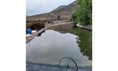 ILLAPEL / PARCELA 20.000 M2 ARBOLES EN PRODUCCION + ANIMALES