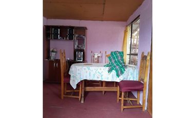 ILLAPEL / PARCELA 20.000 M2 ARBOLES EN PRODUCCION + ANIMALES