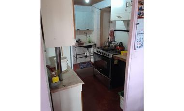 ILLAPEL / PARCELA 20.000 M2 ARBOLES EN PRODUCCION + ANIMALES