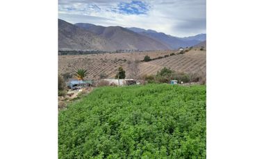 ILLAPEL / PARCELA 20.000 M2 ARBOLES EN PRODUCCION + ANIMALES