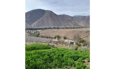 ILLAPEL / PARCELA 20.000 M2 ARBOLES EN PRODUCCION + ANIMALES