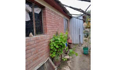 ILLAPEL / PARCELA 20.000 M2 ARBOLES EN PRODUCCION + ANIMALES