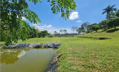 Venta Finca Sur Tebaida Quindio COD: 7015237