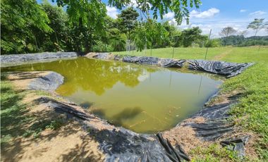 Venta Finca Sur Tebaida Quindio COD: 7015237