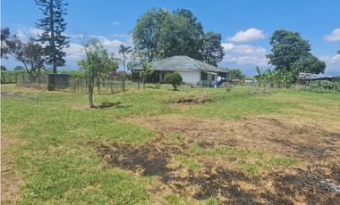 Venta Finca Sur Tebaida Quindio COD: 7015237