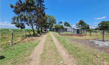 Venta Finca Sur Tebaida Quindio COD: 7015237