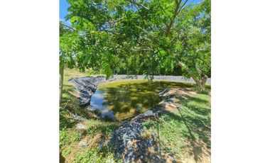Venta Finca Sur Tebaida Quindio COD: 7015237