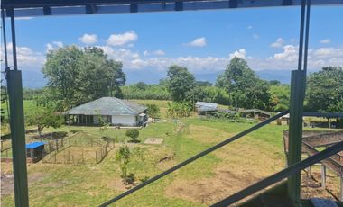 Venta Finca Sur Tebaida Quindio COD: 7015237