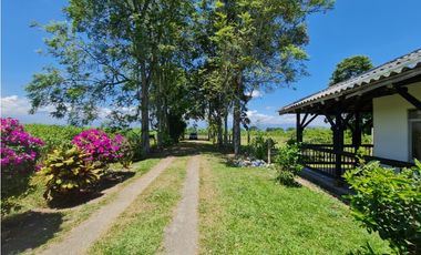 Venta Finca Sur Tebaida Quindio COD: 7015237