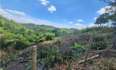 Venta Finca Sur Tebaida Quindio COD: 7015237
