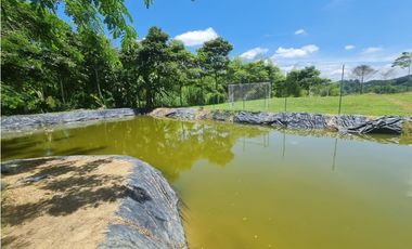 Venta Finca Sur Tebaida Quindio COD: 7015237