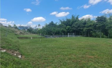 Venta Finca Sur Tebaida Quindio COD: 7015237