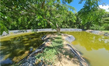 Venta Finca Sur Tebaida Quindio COD: 7015237