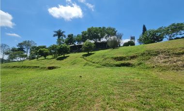 Venta Finca Sur Tebaida Quindio COD: 7015237
