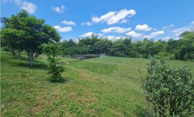 Venta Finca Sur Tebaida Quindio COD: 7015237