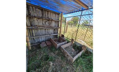 Venta Finca Sur Tebaida Quindio COD: 7015237