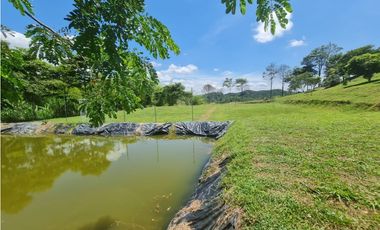 Venta Finca Sur Tebaida Quindio COD: 7015237