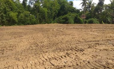 Legalitas SHM, 800 Rb-an: 2 Km Pintu Tol Bojong Pekalongan