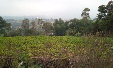 1540 M2 Tanah Kebun View Gunung Burangrang di Pameungpeuk, Cisarua. Bandung Barat
