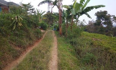 1540 M2 Tanah Kebun View Gunung Burangrang di Pameungpeuk, Cisarua. Bandung Barat