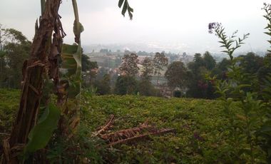 1540 M2 Tanah Kebun View Gunung Burangrang di Pameungpeuk, Cisarua. Bandung Barat
