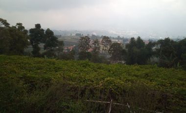 1540 M2 Tanah Kebun View Gunung Burangrang di Pameungpeuk, Cisarua. Bandung Barat