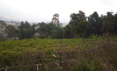 1540 M2 Tanah Kebun View Gunung Burangrang di Pameungpeuk, Cisarua. Bandung Barat