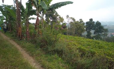 1540 M2 Tanah Kebun View Gunung Burangrang di Pameungpeuk, Cisarua. Bandung Barat