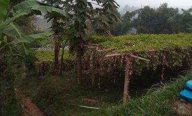 1540 M2 Tanah Kebun View Gunung Burangrang di Pameungpeuk, Cisarua. Bandung Barat