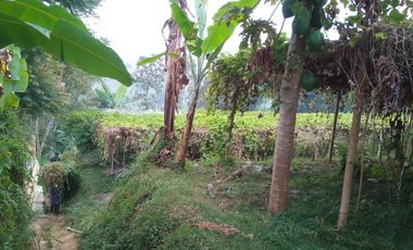 1540 M2 Tanah Kebun View Gunung Burangrang di Pameungpeuk, Cisarua. Bandung Barat
