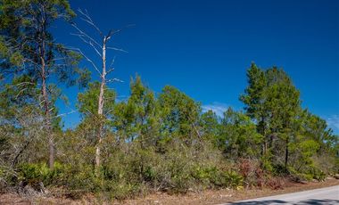 Sitio en Venta en Lake Placid